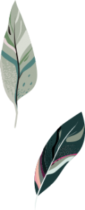 shape